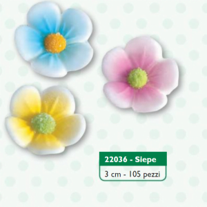 Siepe cf-105pz cm3 a.22036/AS