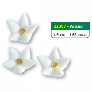 Aranci cf192pz cm2.4 a.22007