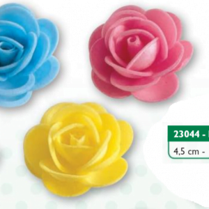 Rosellina ostia grande