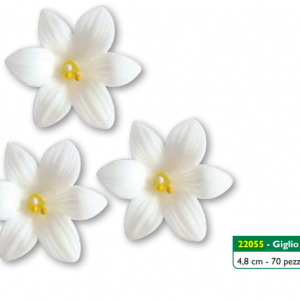 Giglio medio cm4.8 a.22055 cf70pz