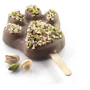 Stampo silicone Zampa mis.89x84 h24 GEL06